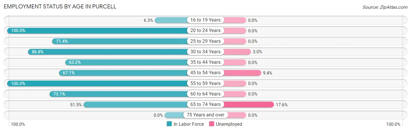 Employment Status by Age in Purcell