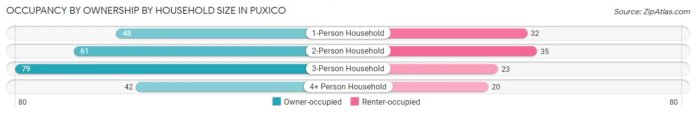 Occupancy by Ownership by Household Size in Puxico