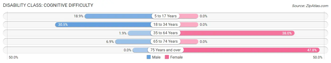 Disability in Qulin: <span>Cognitive Difficulty</span>