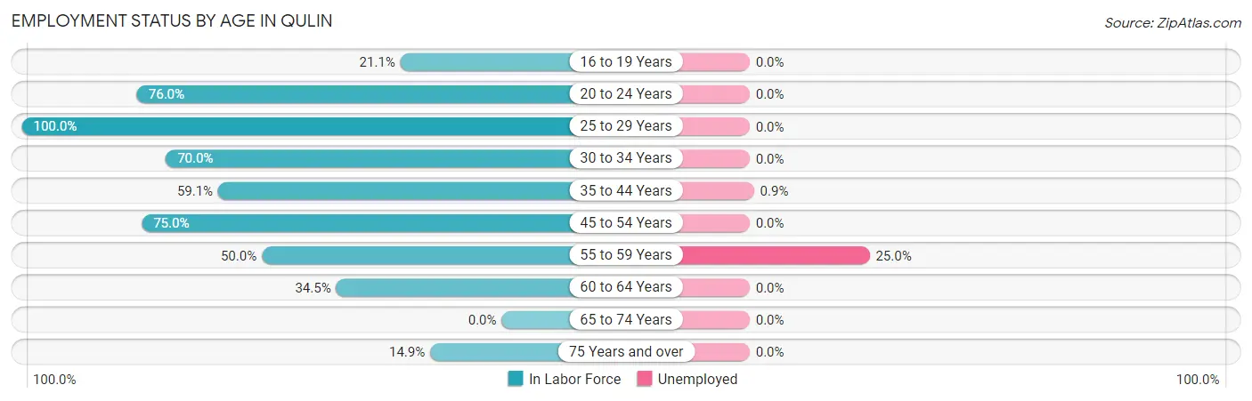 Employment Status by Age in Qulin
