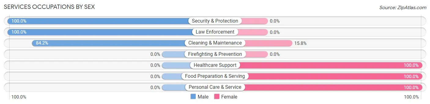 Services Occupations by Sex in Raymondville