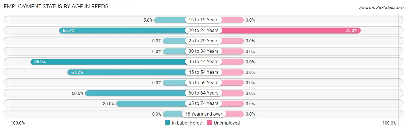 Employment Status by Age in Reeds