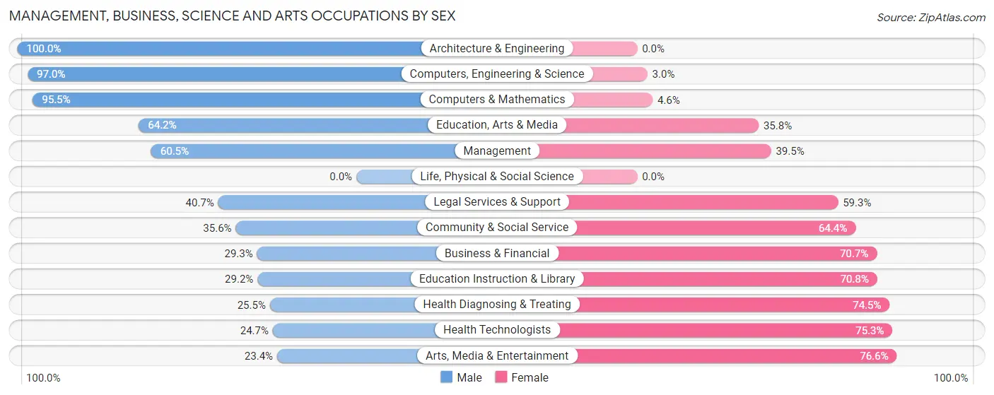 Management, Business, Science and Arts Occupations by Sex in Republic