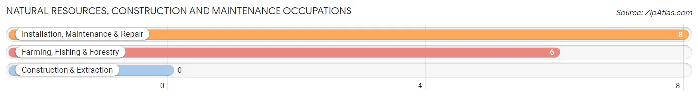 Natural Resources, Construction and Maintenance Occupations in Ridgeway