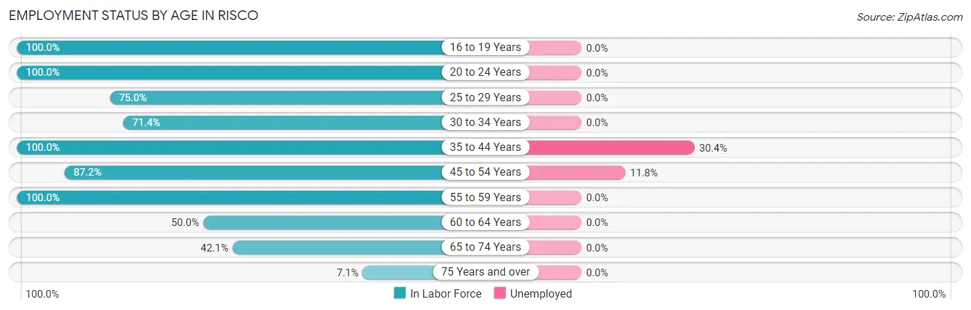 Employment Status by Age in Risco