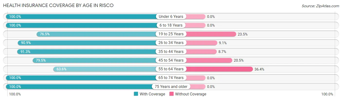 Health Insurance Coverage by Age in Risco