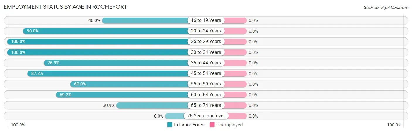 Employment Status by Age in Rocheport