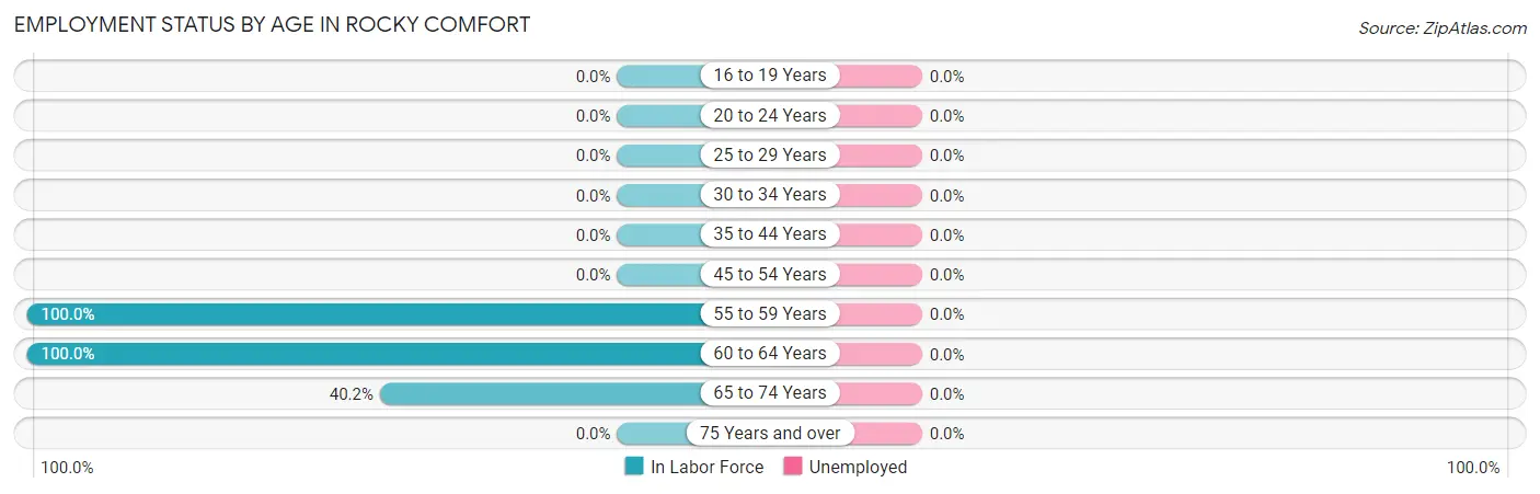Employment Status by Age in Rocky Comfort