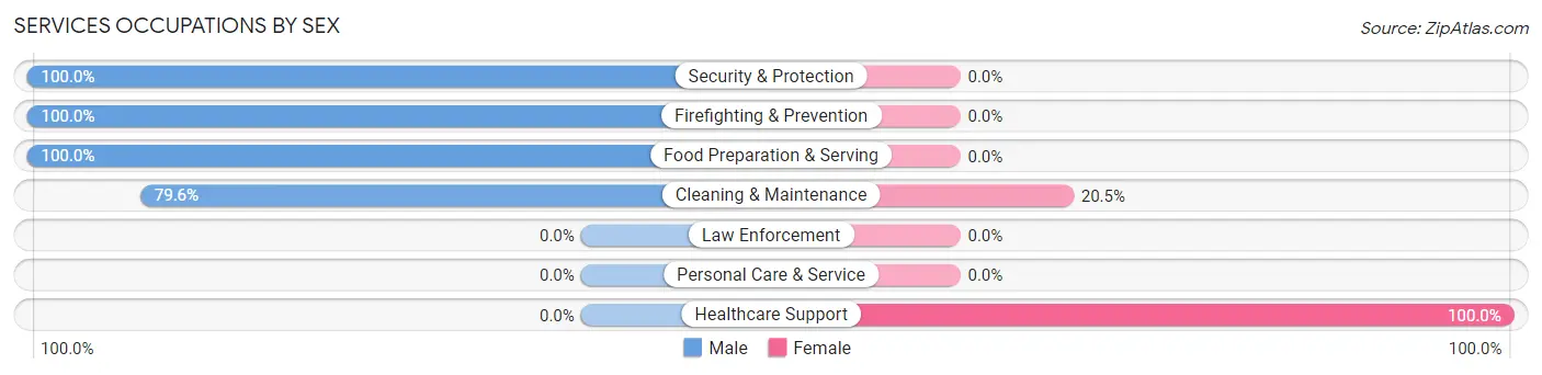Services Occupations by Sex in Rogersville