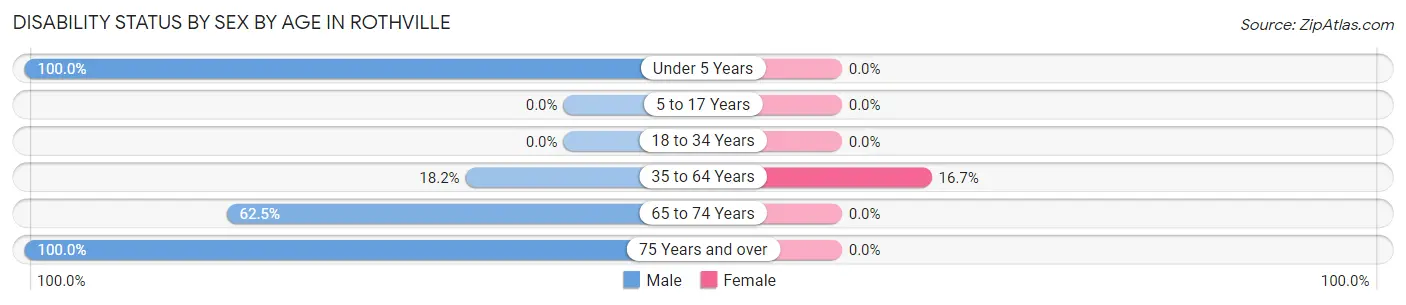 Disability Status by Sex by Age in Rothville