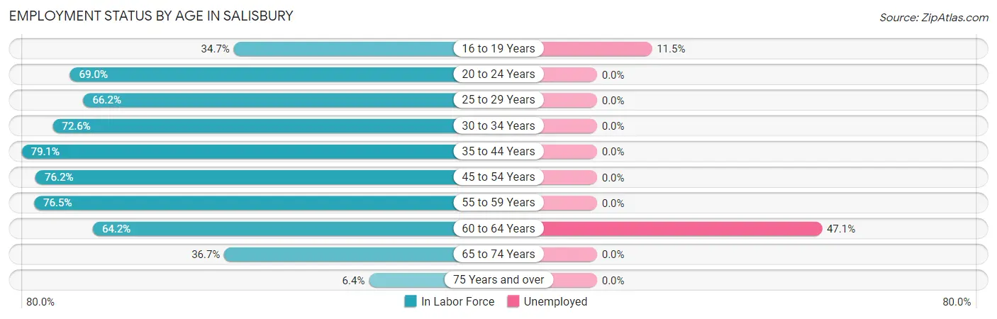 Employment Status by Age in Salisbury