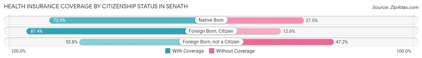 Health Insurance Coverage by Citizenship Status in Senath