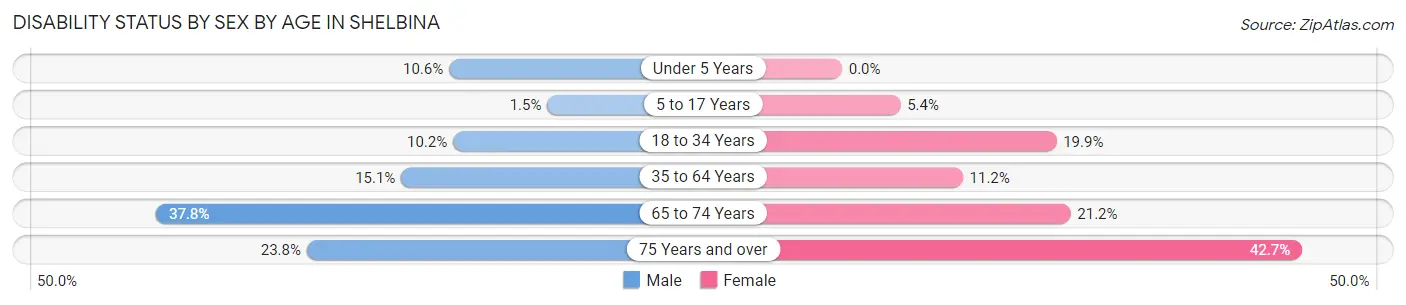 Disability Status by Sex by Age in Shelbina