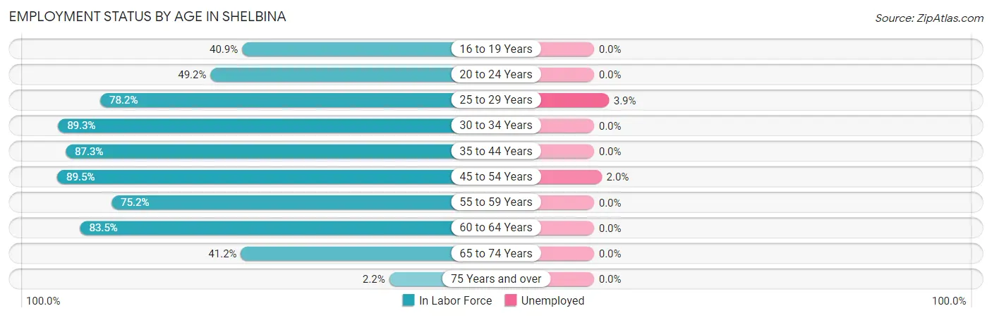 Employment Status by Age in Shelbina