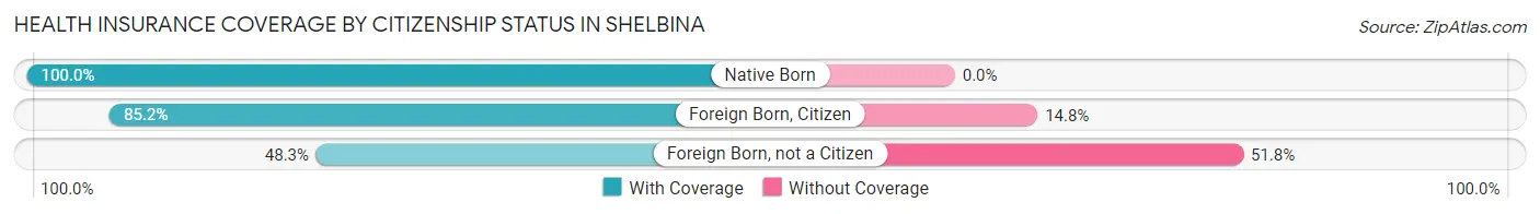 Health Insurance Coverage by Citizenship Status in Shelbina