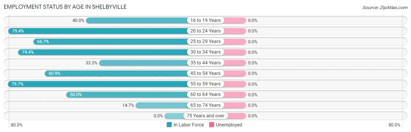 Employment Status by Age in Shelbyville