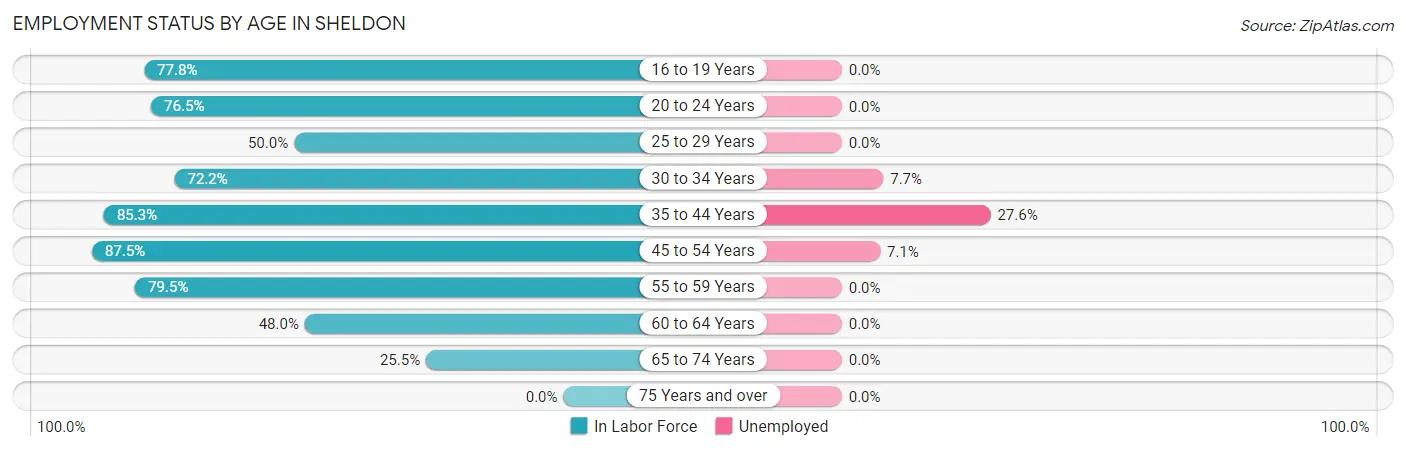 Employment Status by Age in Sheldon
