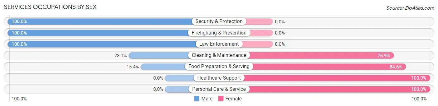 Services Occupations by Sex in Sibley