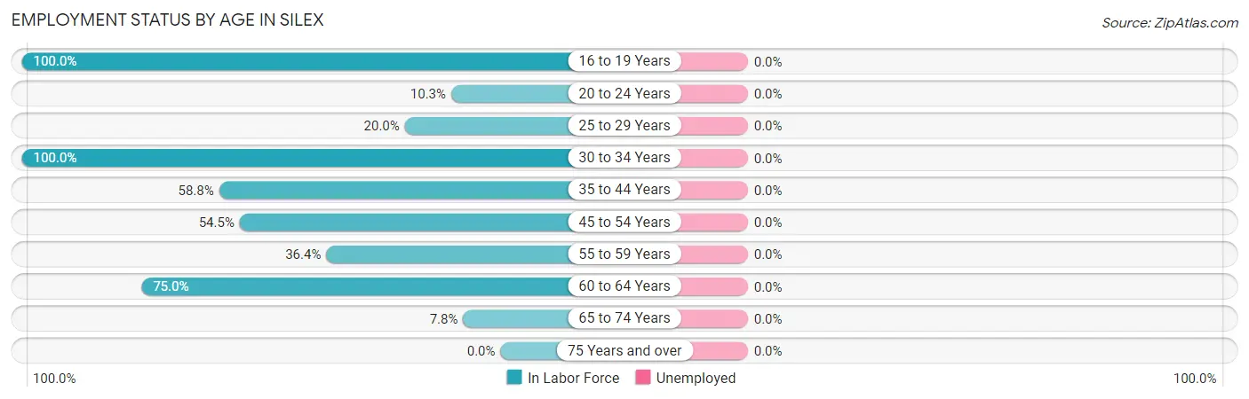 Employment Status by Age in Silex