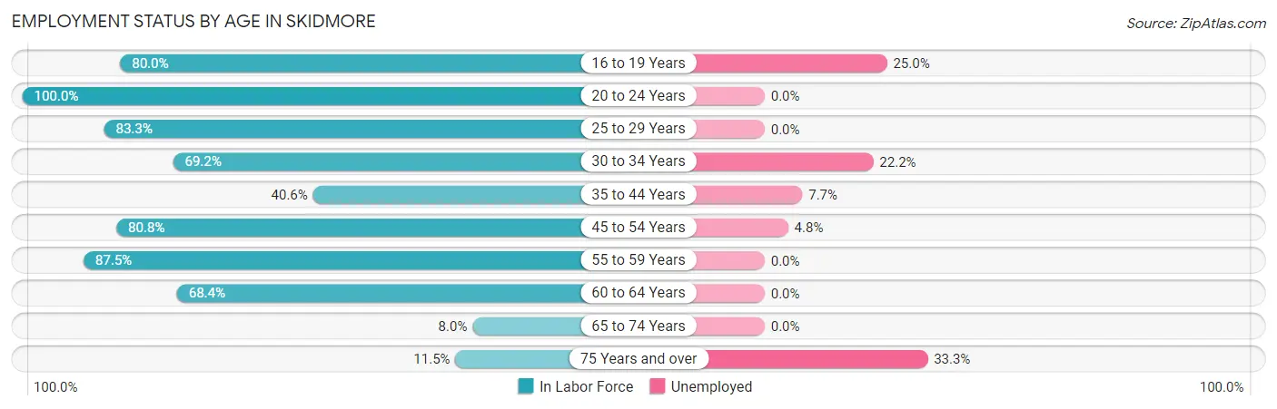 Employment Status by Age in Skidmore