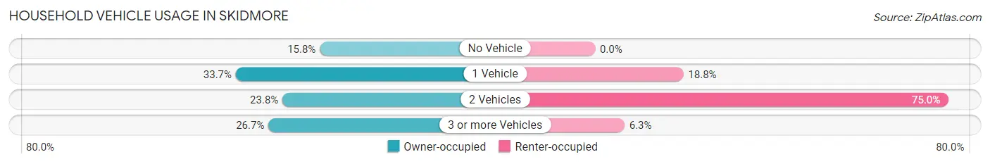 Household Vehicle Usage in Skidmore