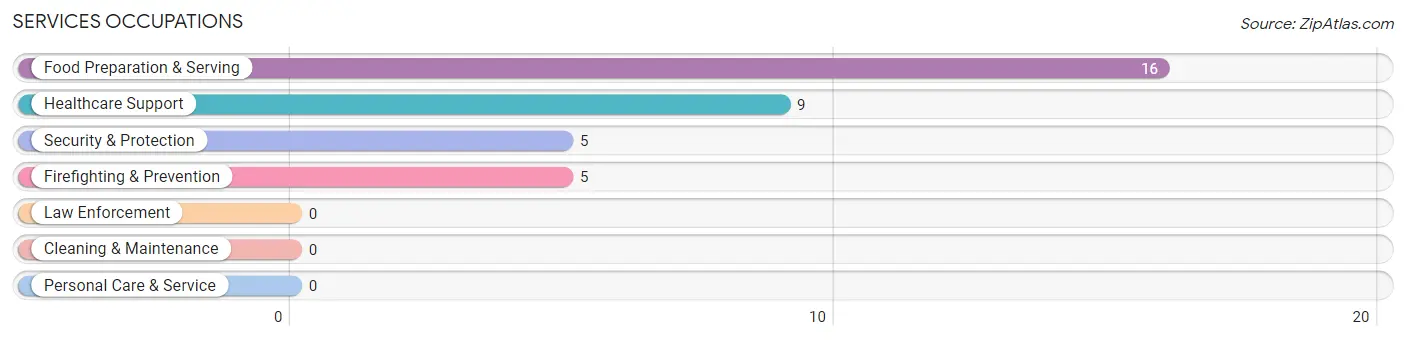 Services Occupations in Slater