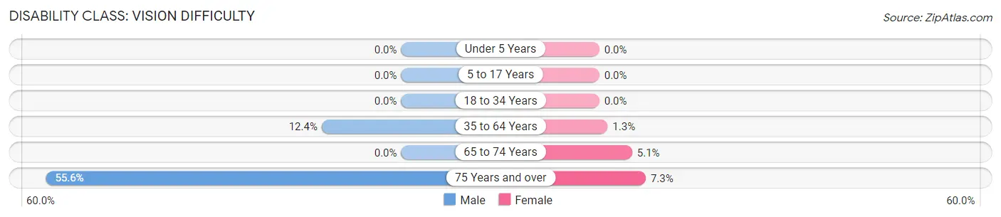 Disability in Slater: <span>Vision Difficulty</span>