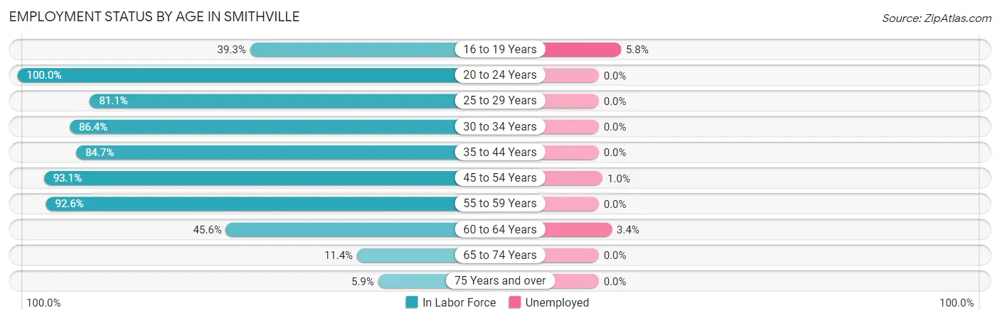 Employment Status by Age in Smithville