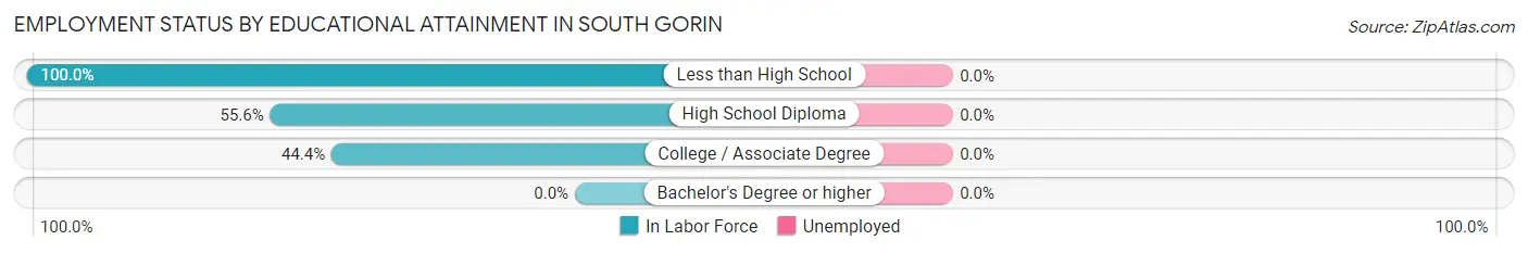 Employment Status by Educational Attainment in South Gorin