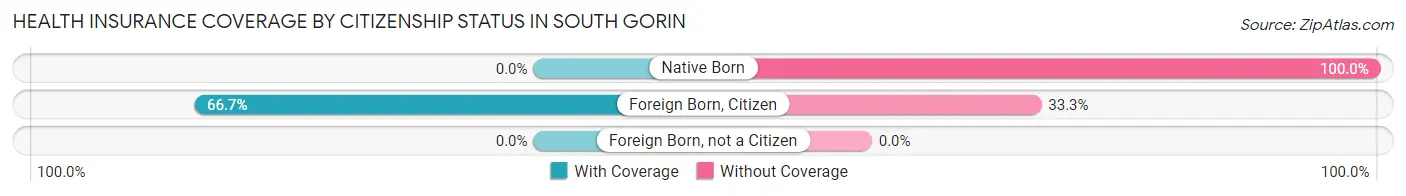 Health Insurance Coverage by Citizenship Status in South Gorin
