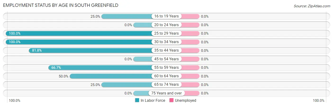 Employment Status by Age in South Greenfield