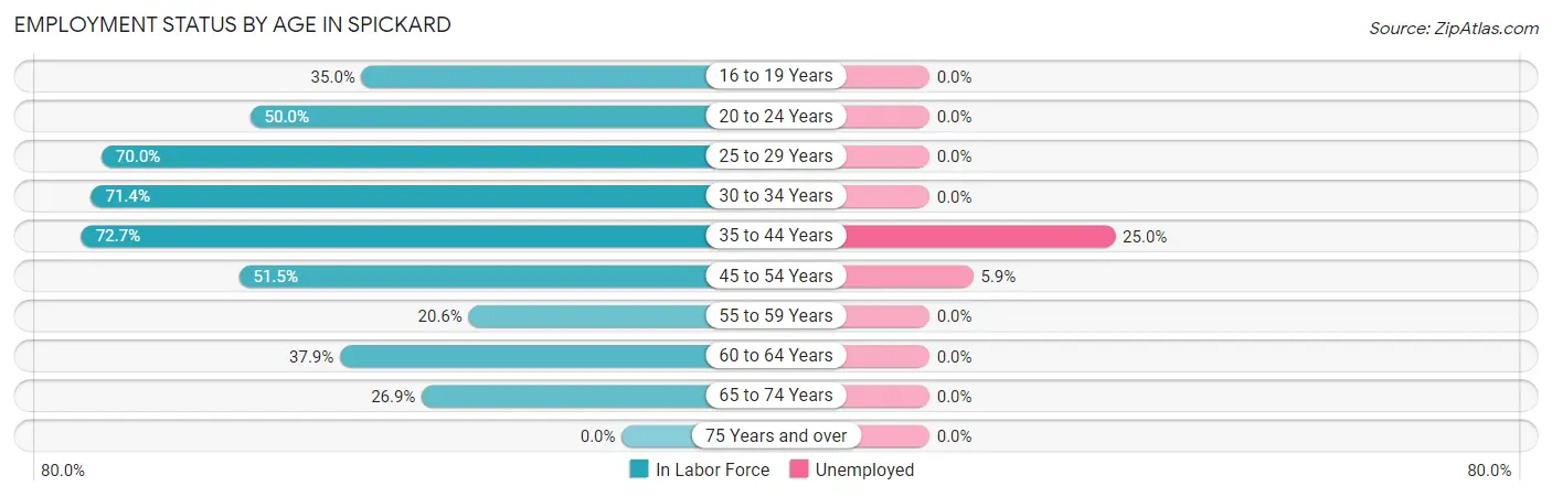 Employment Status by Age in Spickard