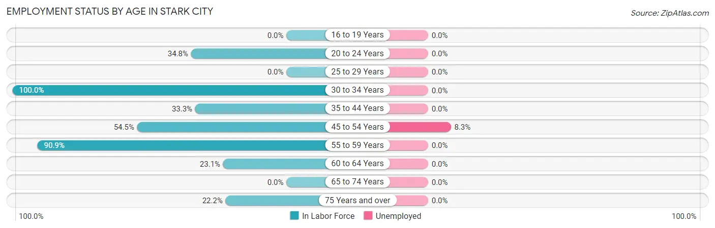 Employment Status by Age in Stark City