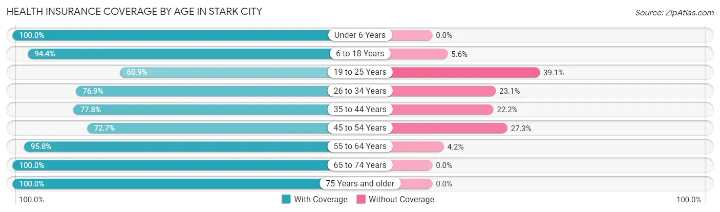 Health Insurance Coverage by Age in Stark City