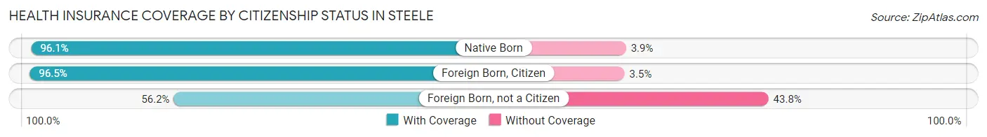 Health Insurance Coverage by Citizenship Status in Steele