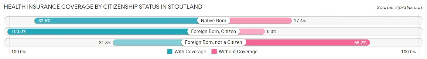 Health Insurance Coverage by Citizenship Status in Stoutland