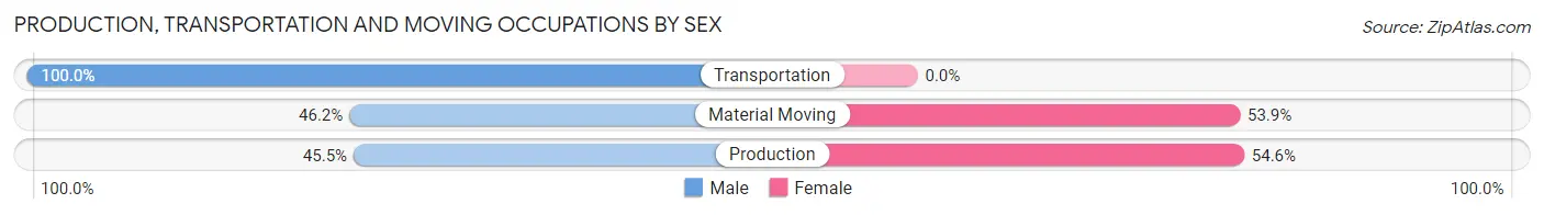 Production, Transportation and Moving Occupations by Sex in Stoutland