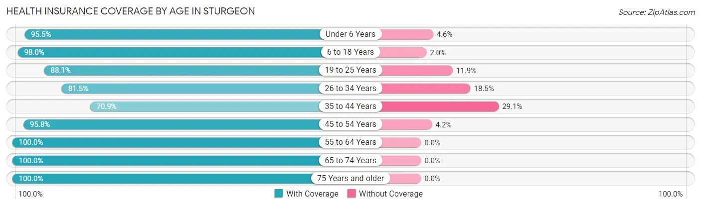 Health Insurance Coverage by Age in Sturgeon