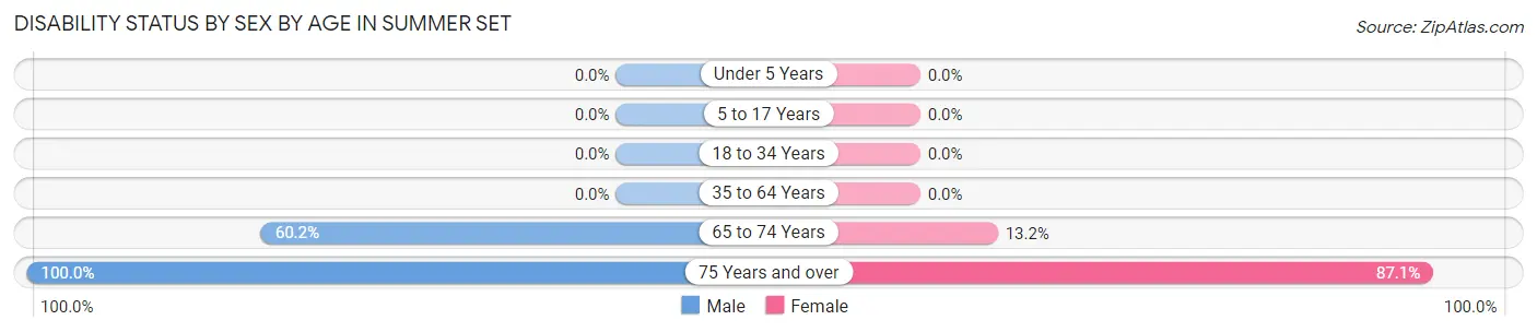 Disability Status by Sex by Age in Summer Set