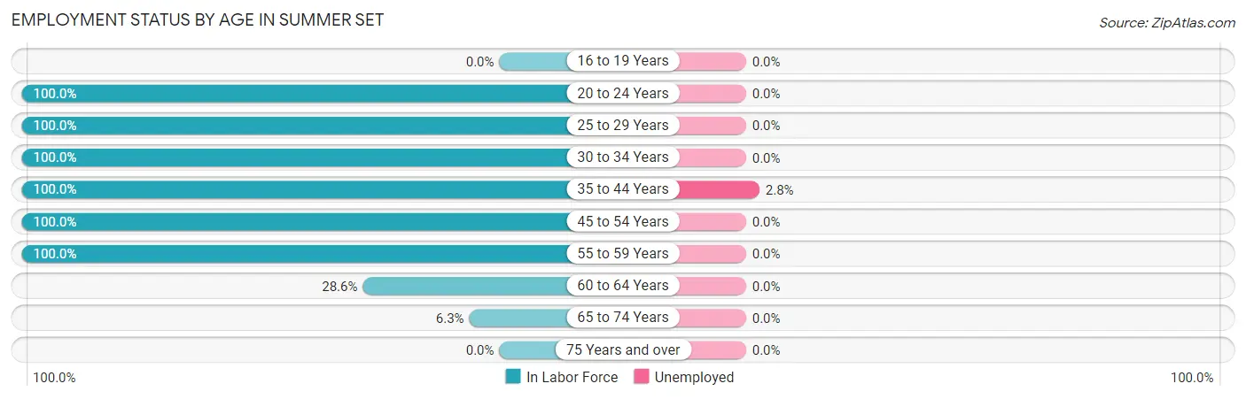 Employment Status by Age in Summer Set