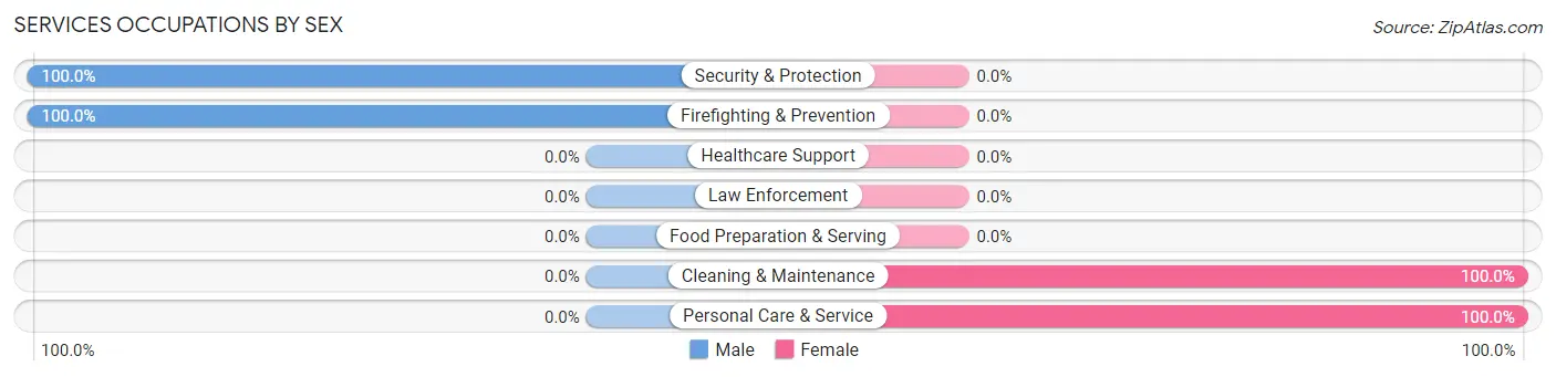 Services Occupations by Sex in Summer Set