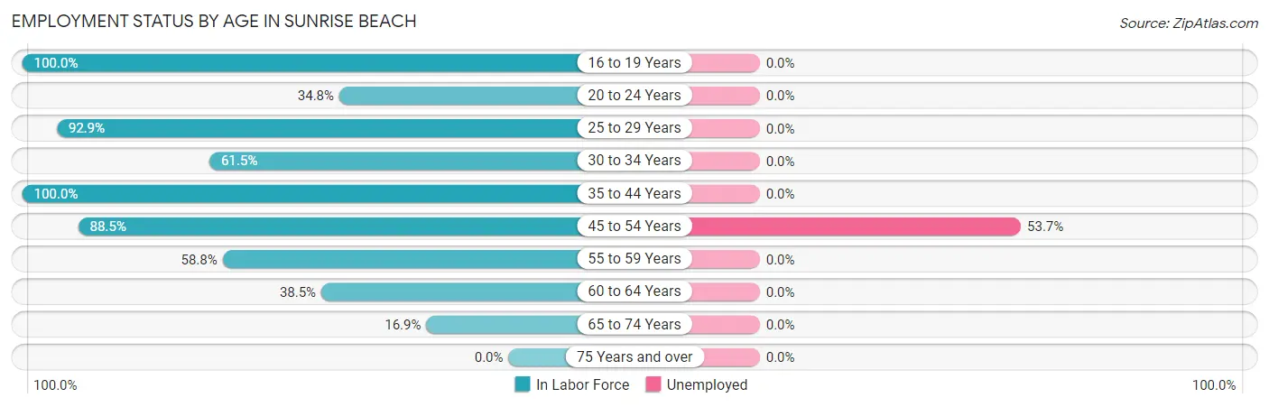 Employment Status by Age in Sunrise Beach