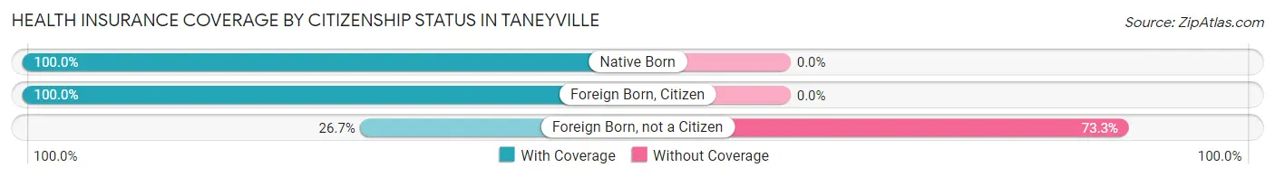 Health Insurance Coverage by Citizenship Status in Taneyville