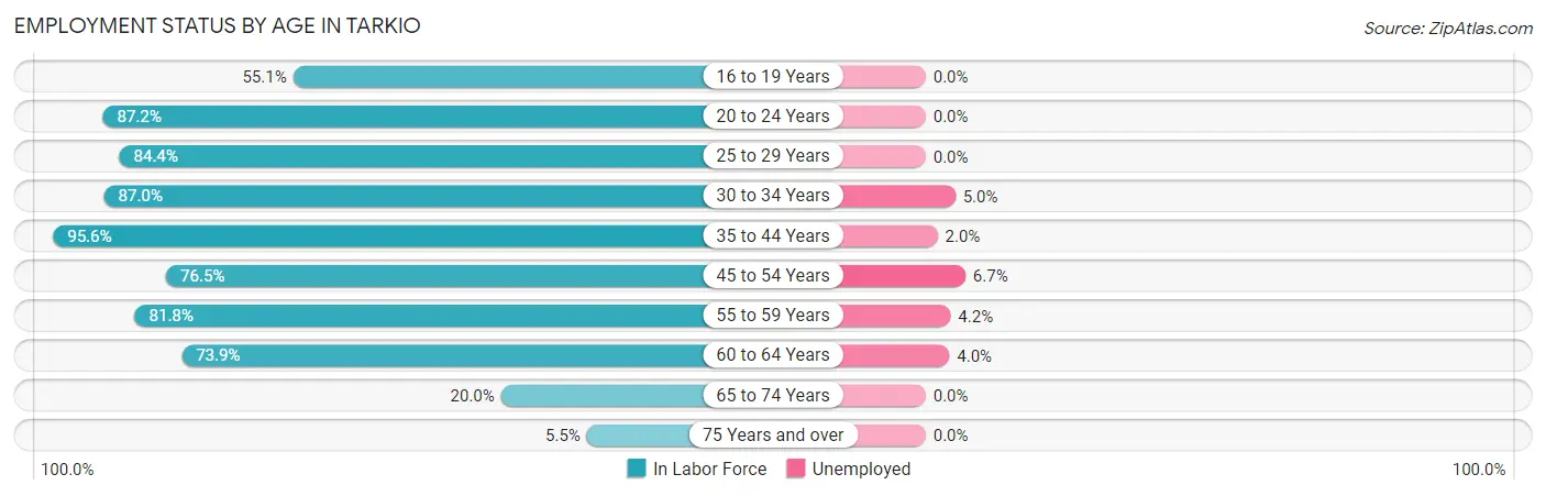 Employment Status by Age in Tarkio