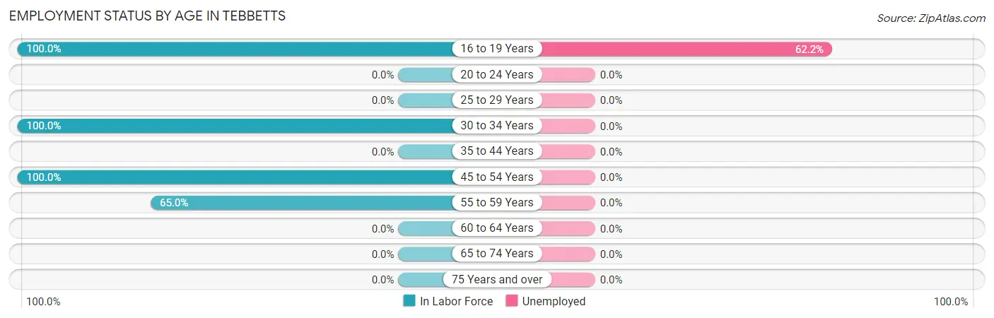 Employment Status by Age in Tebbetts
