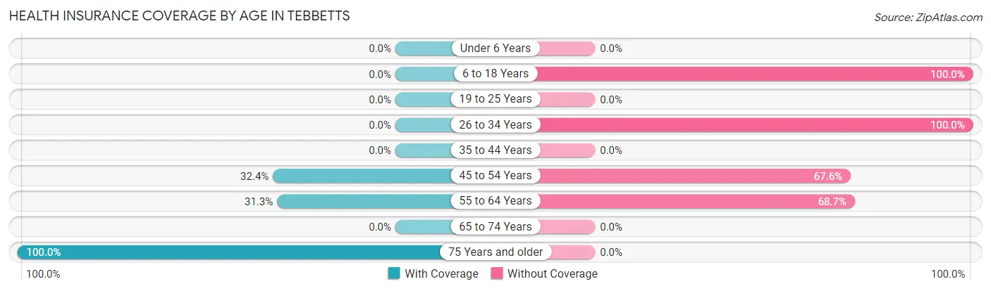 Health Insurance Coverage by Age in Tebbetts