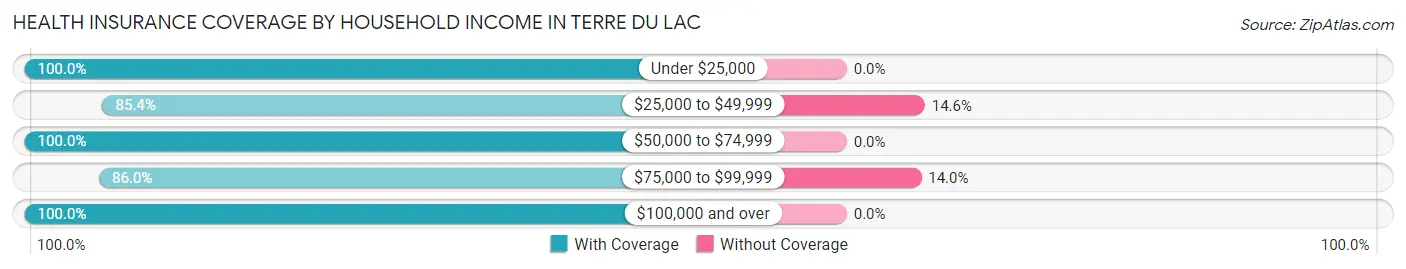 Health Insurance Coverage by Household Income in Terre du Lac