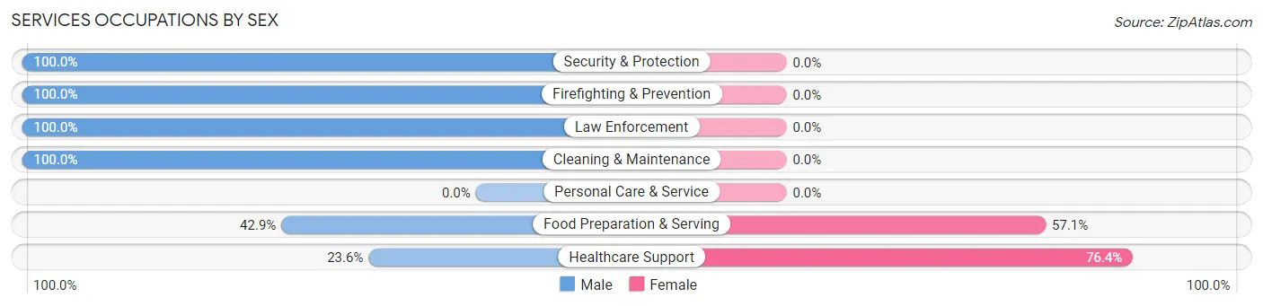 Services Occupations by Sex in Thayer