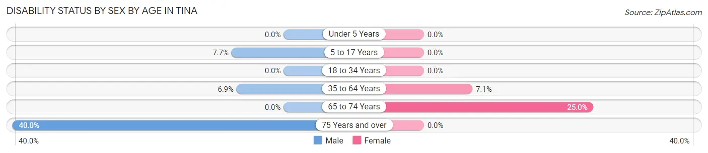 Disability Status by Sex by Age in Tina