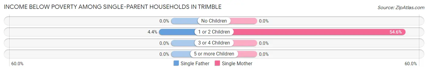 Income Below Poverty Among Single-Parent Households in Trimble